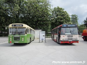 Photo 20190514182417-ab5a12db.jpg